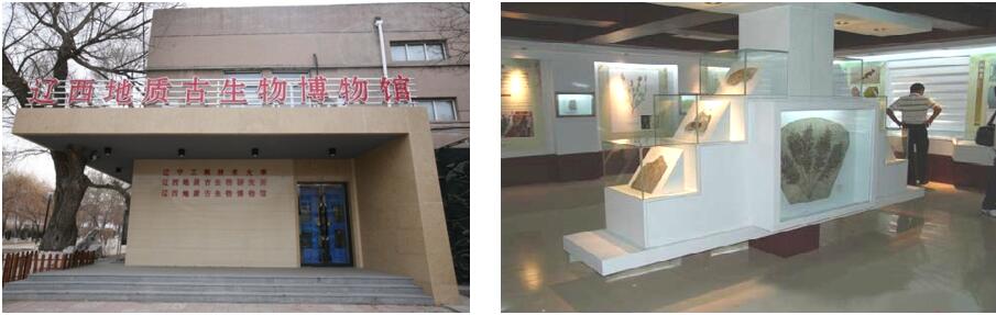 足球盘